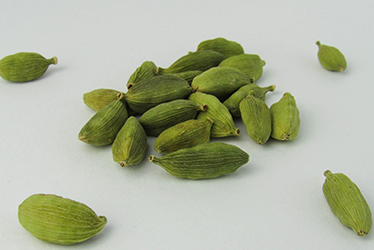 Cardamom